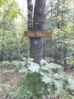 Squam Lakes Association looking for volunteers for Col Trail workday
