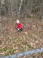 READER pics, reader-submitted shots of people, places, events, and scenery from around the Lakes Region