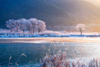 Warmer winters in normally snowy places can interfere with the important activities of microbes in the soil.