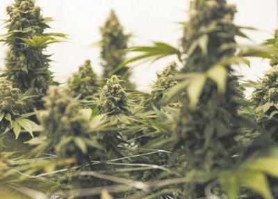 GraniteLeaf Cannabis