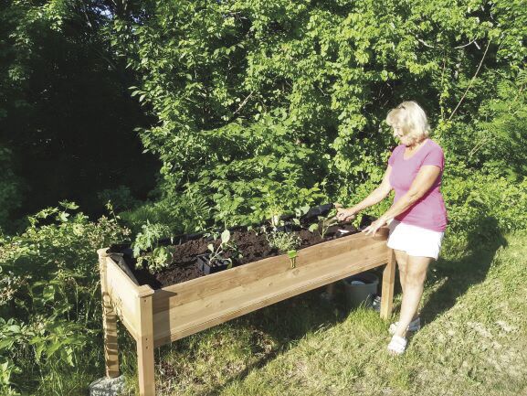 Orchard Hill gardener