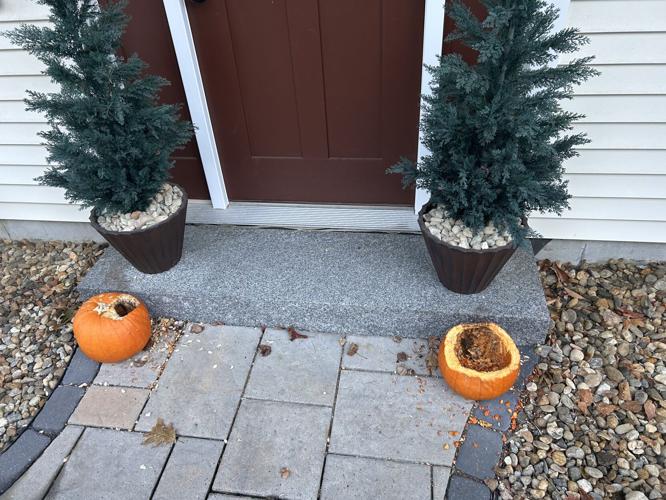 Reader Pics: Nov. 24