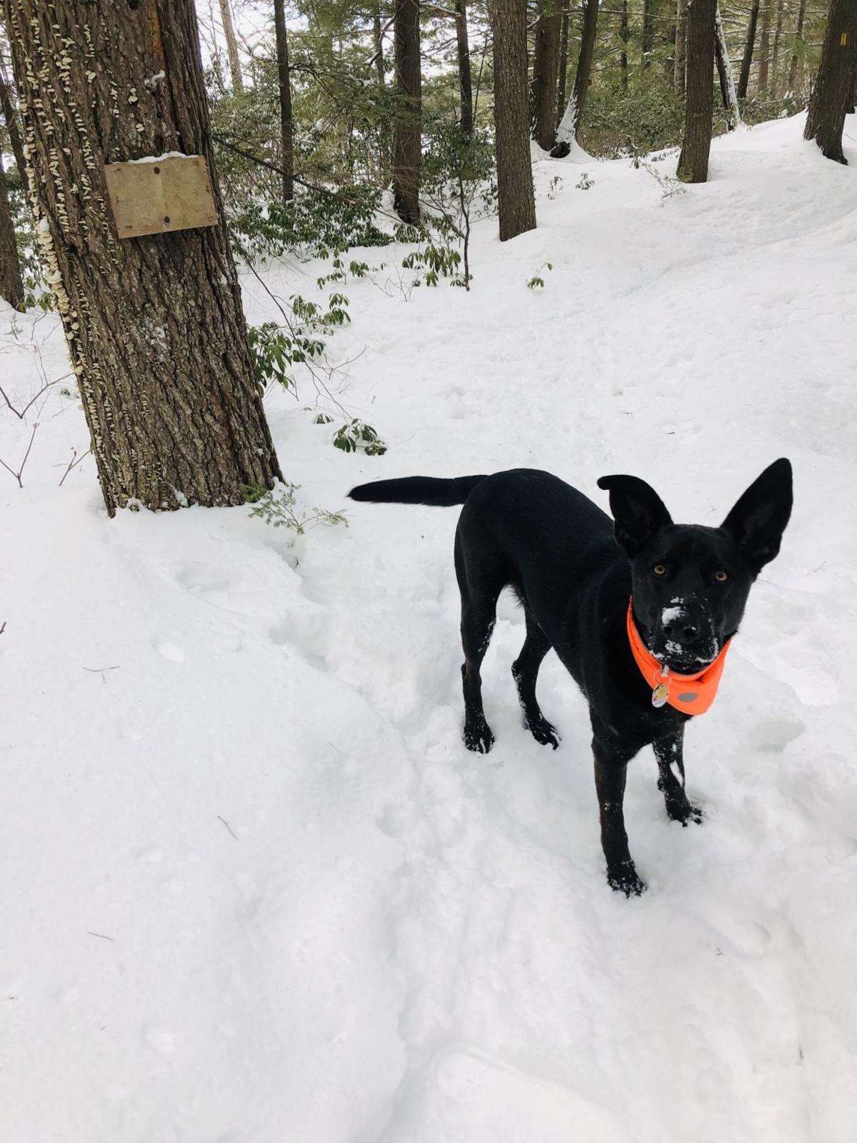 Reader Pics: March 10