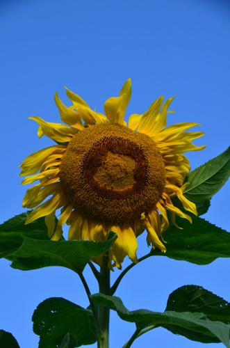 Reader Pics: Aug. 30