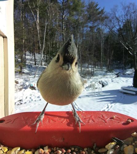 Reader Pics: March 29