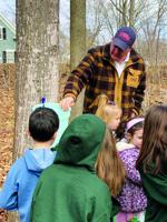 NH governor’s tapping kicks off maple season on March 14
