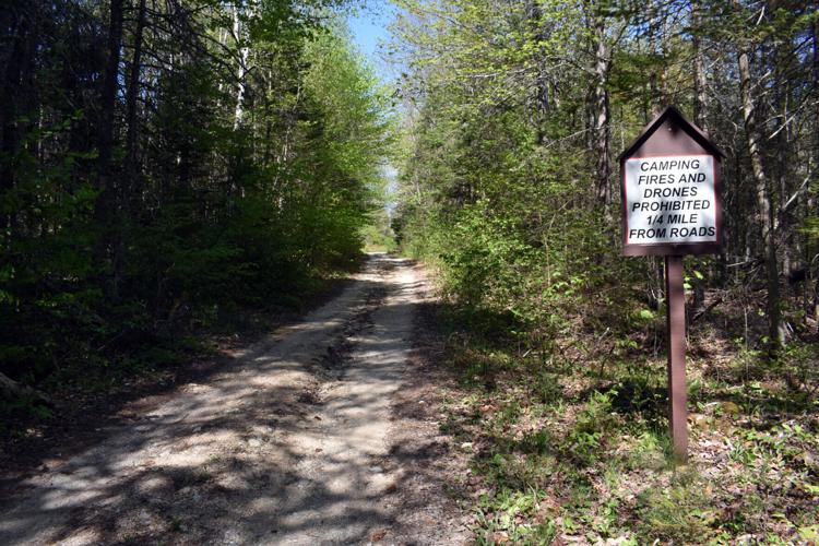 05-21 Sandwich Notch Algonquin Trail
