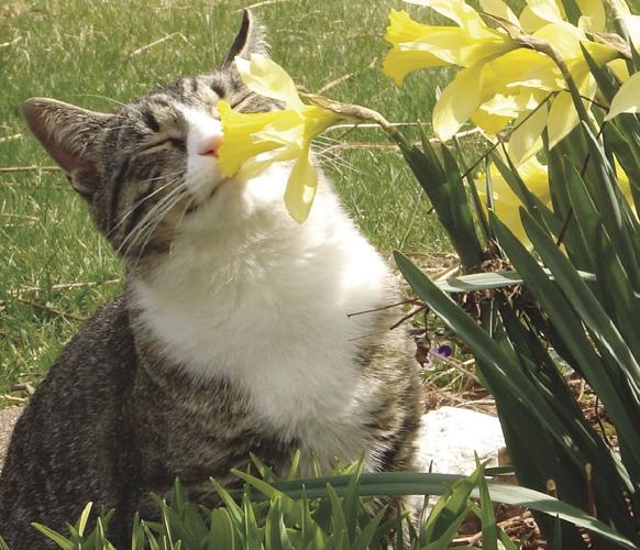 Reader Pics: April 20