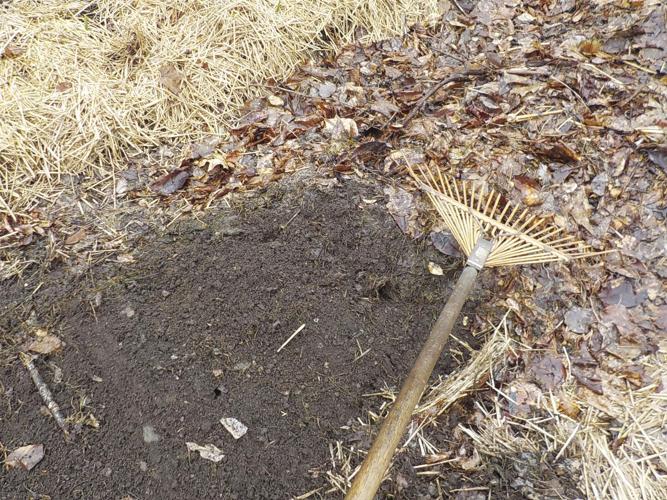 Remove mulch