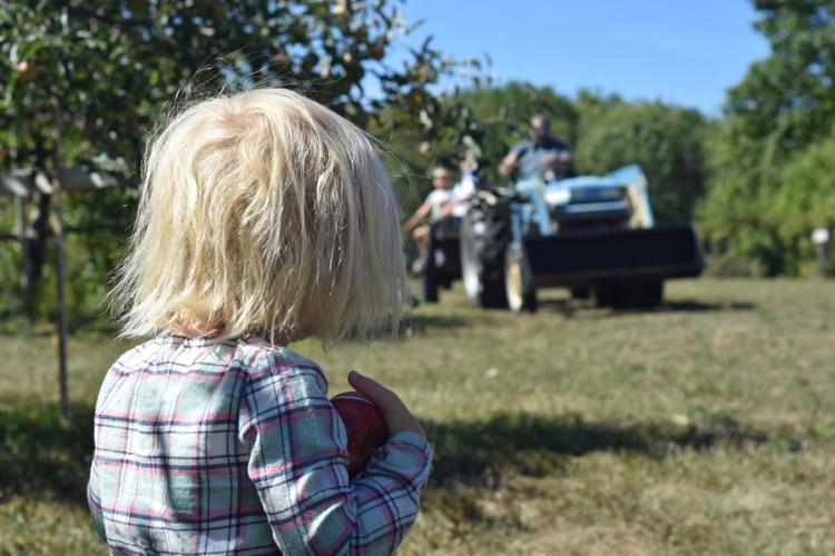 10-13 Apples tractor