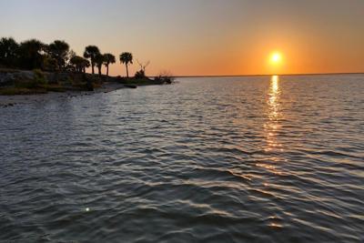 Seagrass has made an unexpected return to Mosquito Lagoon. Captain William B. Wolfson, Grassroots Guide Service, New Smyrna Beach, FL