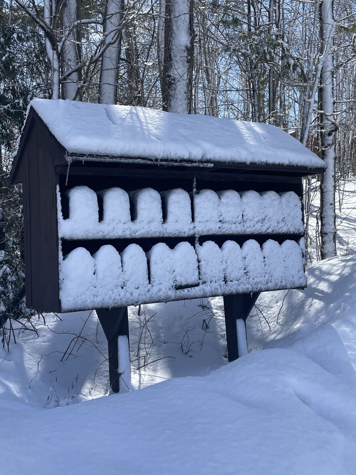 Reader Pics: April 10