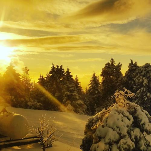 Reader Pics: Jan. 13