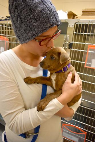 11-21 Adopt-A-Thon puppy