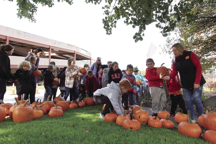 Pumpkins in the Park
