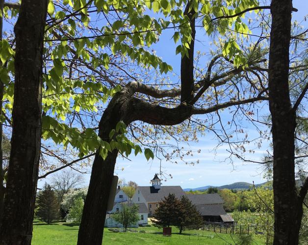 05-28 Preservation Prescott