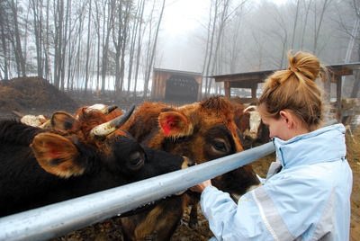 Gilmanton farmers join forces