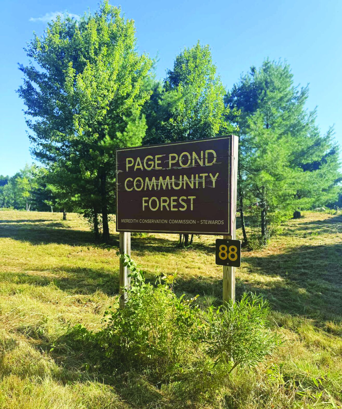 Forest sign