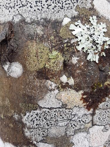 Reader Pics: March 27