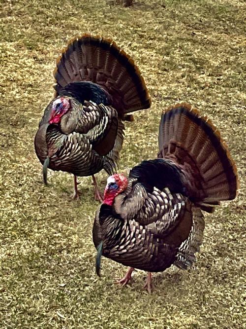 Reader Pics: April 8