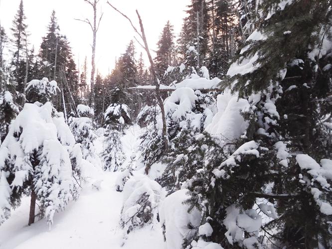 2-1 outdoor DSCN3441.jpg