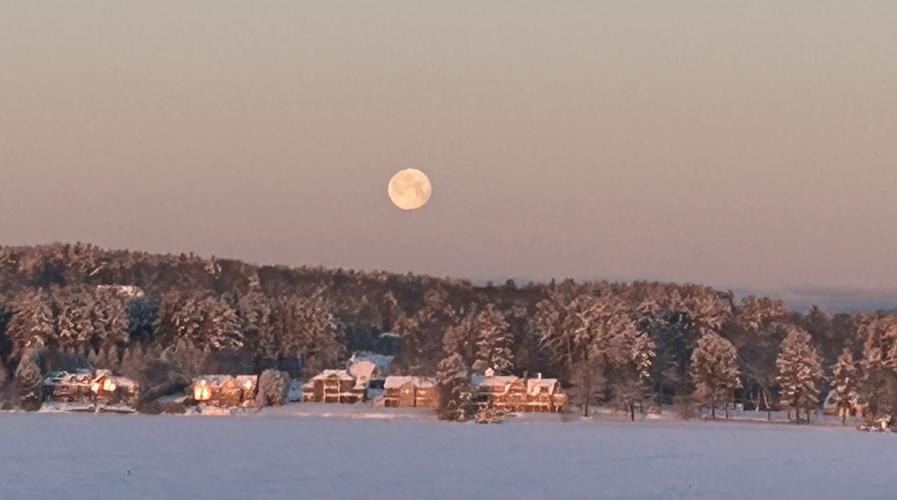 Reader Pics: March 19