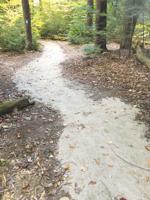 Wetlands Walk seeks work day volunteers