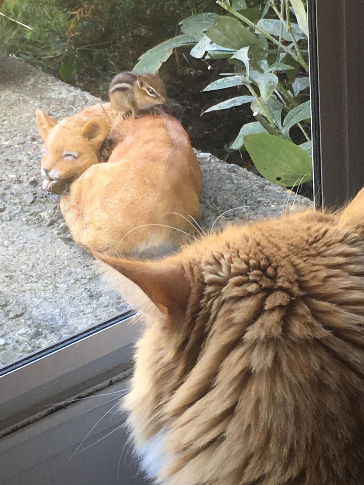 Reader Pics: Sept. 23