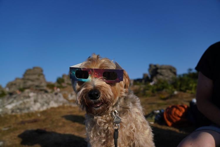 SWNS_DARTMOOR_SOLAR_20