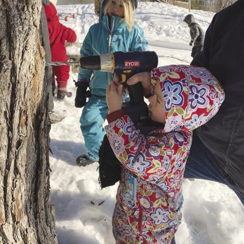 Backyard sugaring 2