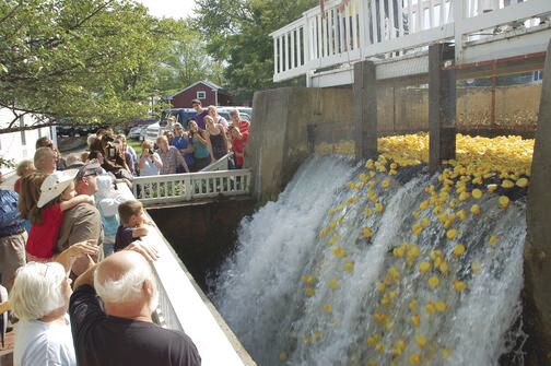 Duck race