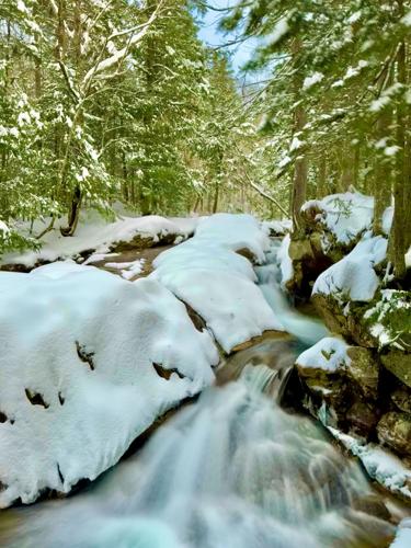 Reader Pics: Dec. 22