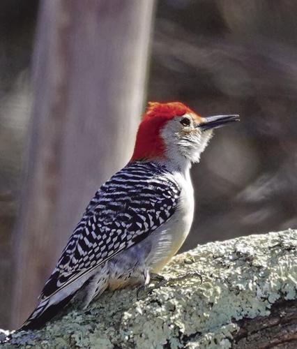 Reader Pics: April 14