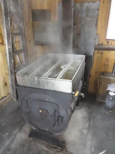 Maple steaming