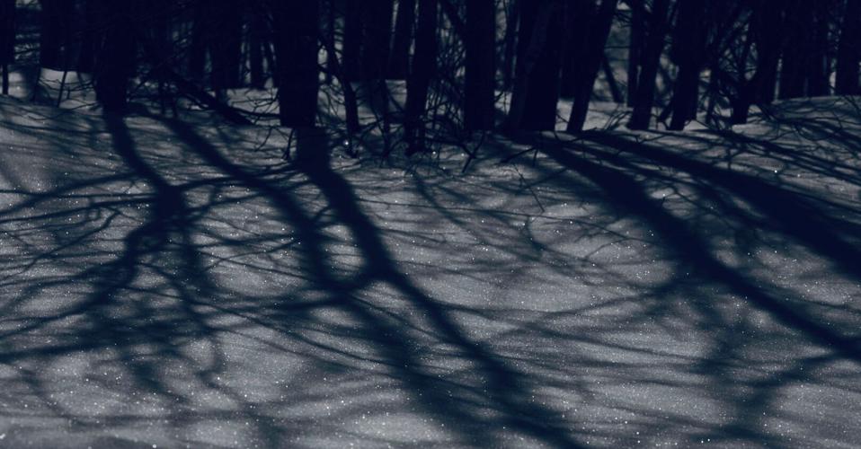 Reader Pics: Feb. 20