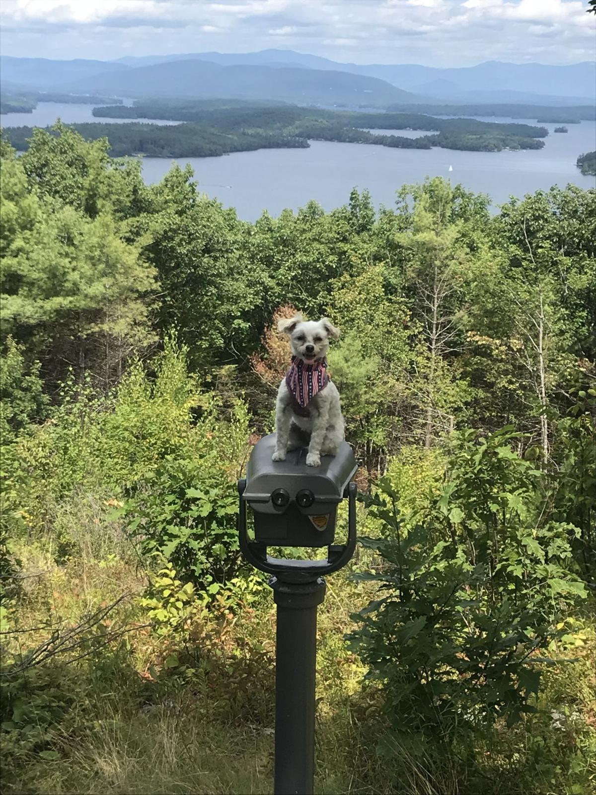 Reader Pics: Aug. 19