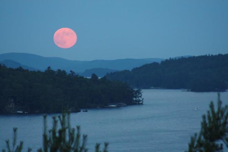 Reader Pics: July 23