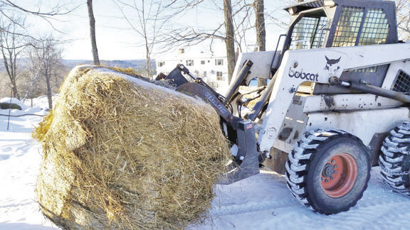 1-24 outdoor roundbale