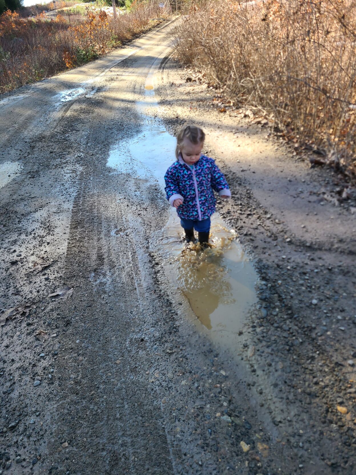 Reader Pics: March 31