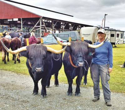 Scottish Highlander team