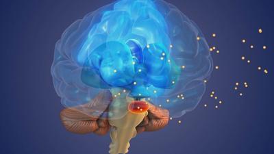 Why some brains are wired for extremism