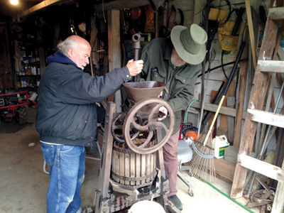 The Apple Project - Program finds Thomas Jefferson's favorite apple, the Spitzenburg, growing in NH (546+2pics).