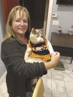 Pamela (Brown) Meehan, 59