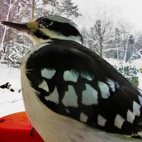 Reader Pics: Jan. 23