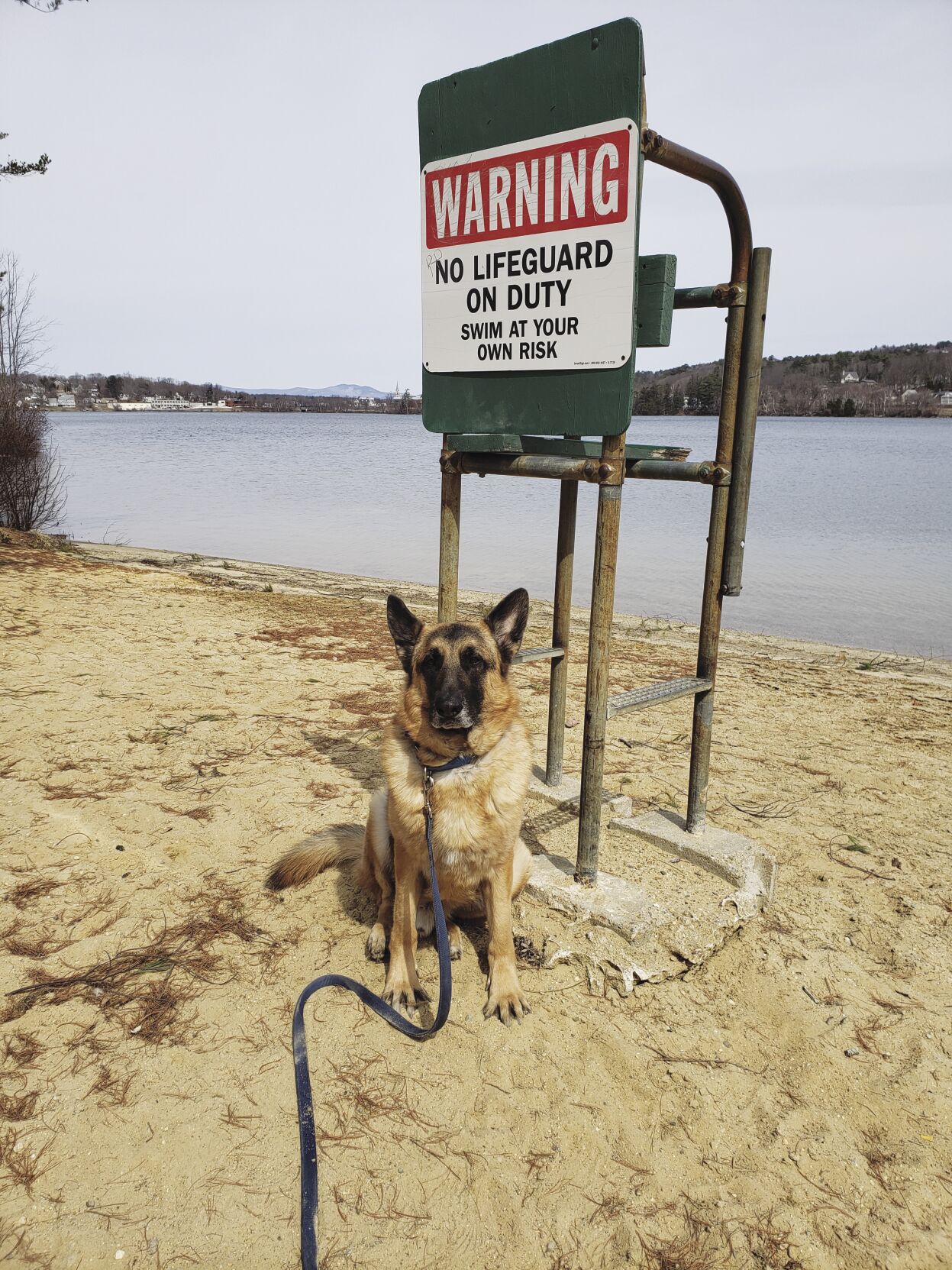 Reader Pics: April 5