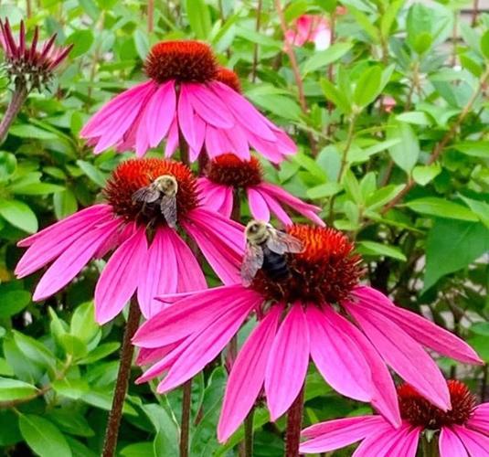 Reader Pics: Sept. 1