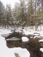 Discovering Chapman Sanctuary and Visny Woods