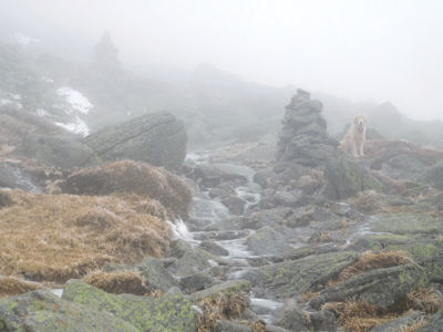 A Commemorative Hike to Remember the Search and Recover of Kate Matrosova