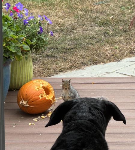 Reader Pics: Oct. 22