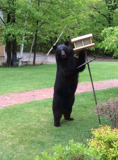 Reader Pics: May 24